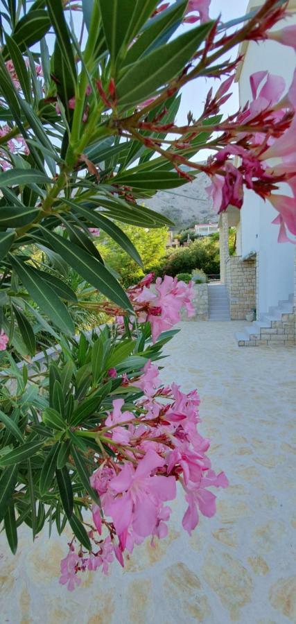 Salt & Stone Villa Pag Town Dış mekan fotoğraf